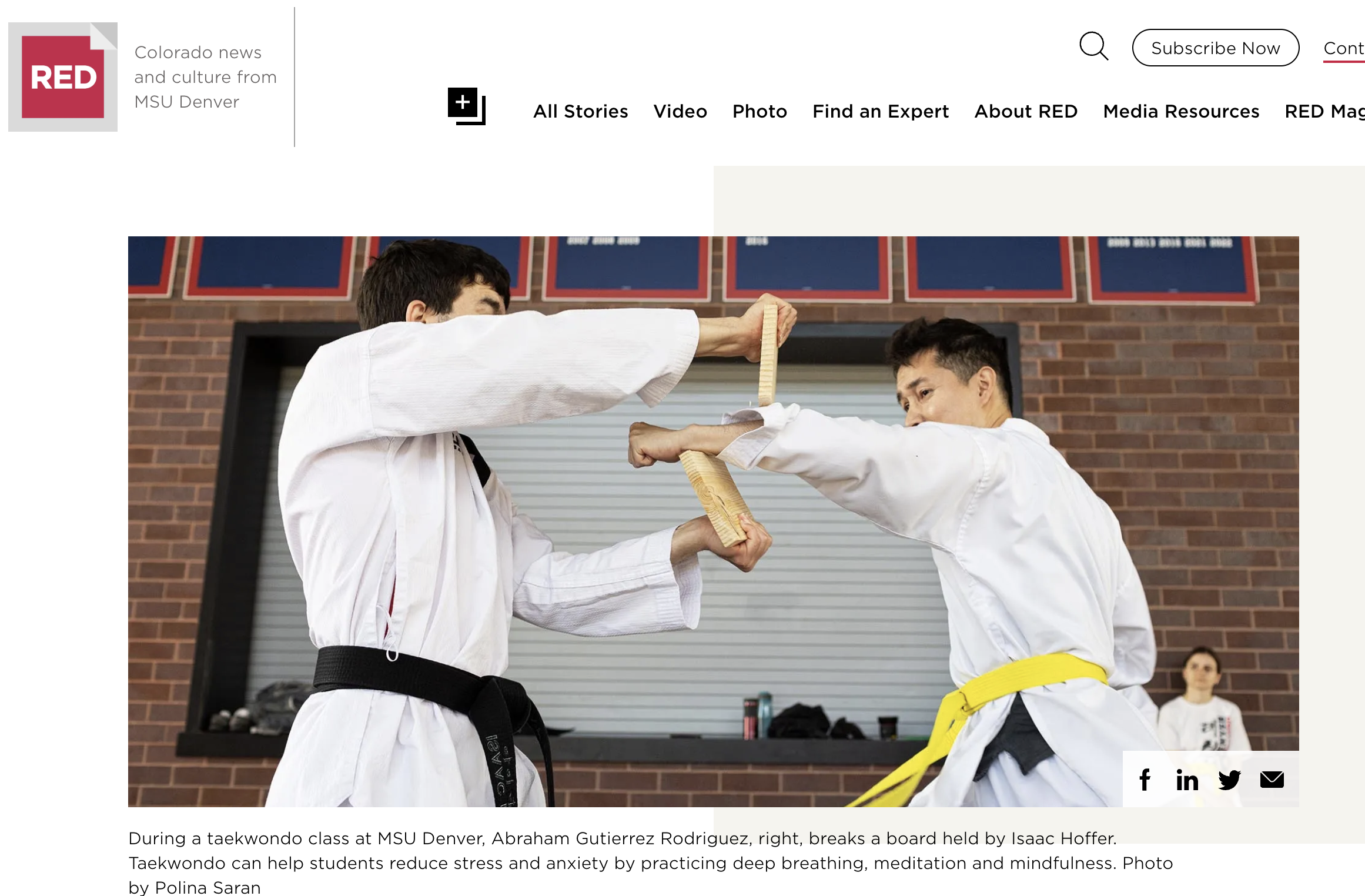 MSU Denver Taekwondo Article
